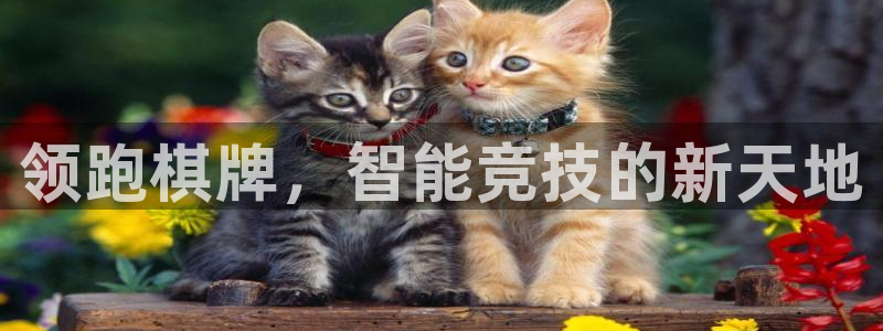 狗子28：领跑棋牌，智能竞技的新天地