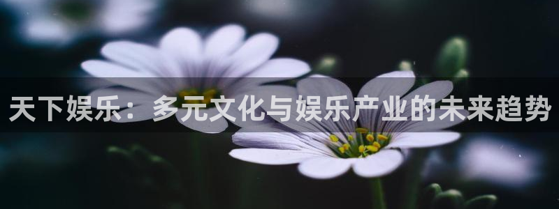 upload/20250701114914.jpg